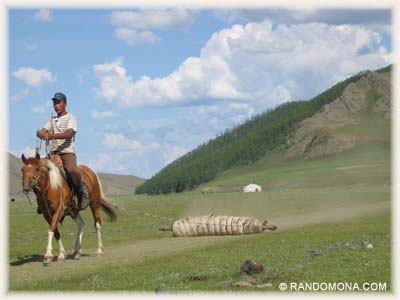 Feutre laine - Mongolie